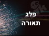 פ.ל.ג. תאורה