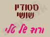 סטודיו שושי - ורוד של טלי