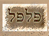 פלפל