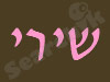 שירי איפור מקצועי