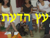 רוקח ירושלמי ויקי