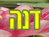 דנה בורשטיין