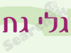 סטודיו גלי גת 