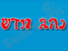 נהג חדש 