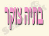 בתיה צוקר