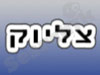צליוק - המרכז לשיקום הדיבור 