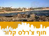 חוף צ'רלס קלור 