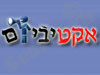 אקטיביזם 