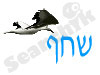 בית הספר הדמוקרטי שחף בשוהם
