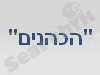 סוכות וארבעת המינים 