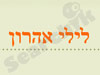 לילי אהרון 