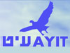 עיט 