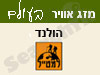 מזג אויר בהולנד 
