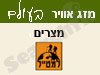 מזג אויר במצרים 