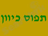 תפוס כיוון
