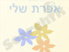אפרת שלי