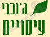 ספא ג'ובני 