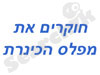 חוקרים את מפלס הכינרת 