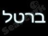 ברטל שירותי טלוייזיה ולווין