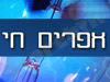 אפרים חי