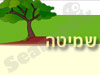 אמי