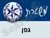 משטרת גפן 