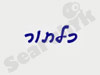 כל-תור