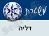 משטרת דליה 