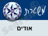משטרת אודים