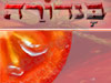 בנדורה - המלצות ספרים ברגע