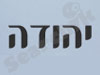 יהודה צילום