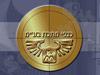 כנפי מתכת