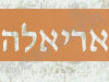 הסטודיו של אריאלה 