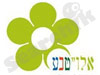אלו