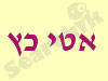 אטי כץ