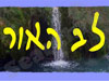רייקי - לב האור 