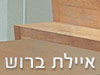 איילת ברוש - אימון בארגון 