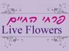 פרחי החיים 