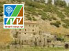 מסלול יערות ציפורי