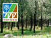 מסלול יער חניתה - נחל באר