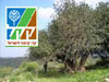 מסלול נחל געתון