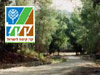 מסלול יער קדושים 