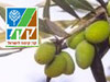 מסלול יער להב 