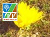 מסלול יער יתיר