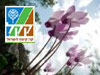 מסלול יער קרן כרמל