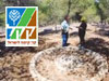 מסלול יער יתיר