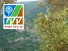 מסלול פארק גולן