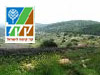 מסלול צור הדסה
