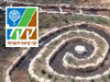 מסלול מתלול צורים