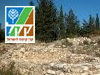 מסלול יער שגב 